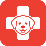 formation secourisme canin formation secourisme canin